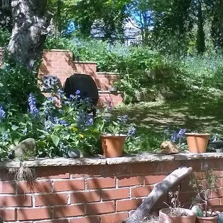 Apartment Secret Garden Hideaway